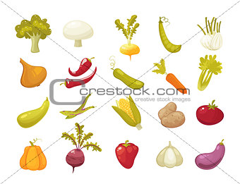 Ecological farming production classical vegetables icons set isolated on white background. vector illustration in retro style