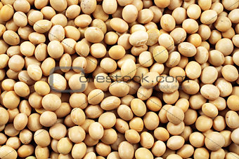 Soybeans Close Up