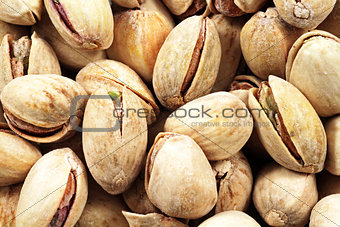 Pistachio Nuts Super Macro