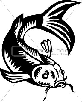 Koi Nishikigoi Carp Fish Woodcut