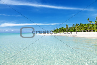 Fantastic turquoise beach with palm trees and white sand