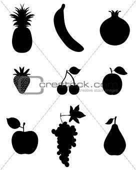 fruit,vector icon