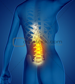 3D female medical figure with spine highlighted