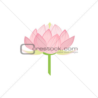 Padma Lotus Sacred Indian Flower