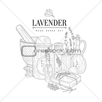 Lavender Natural Product Hand Drawn Realistic Sketch