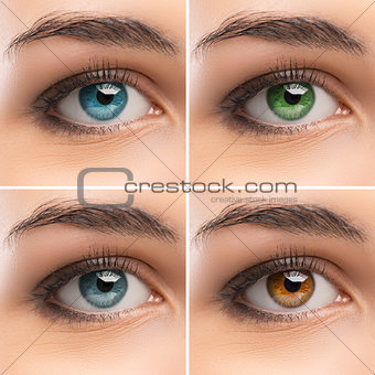 Set of women's Eyes