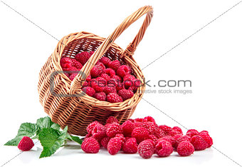 Fresh berries raspberry in wicker basket strewed