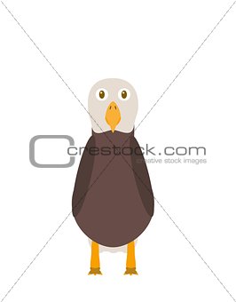 Funny eagle character