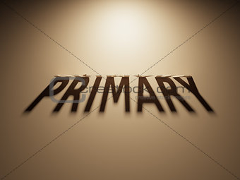3D Rendering of a Shadow Text that reads Primary