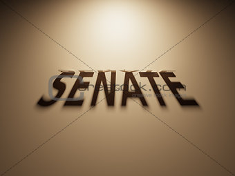 3D Rendering of a Shadow Text that reads Senate