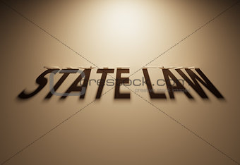 3D Rendering of a Shadow Text that reads State Law