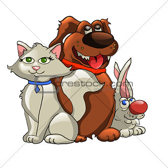 cat, dog, rabbit isolated on white background. vector illustration