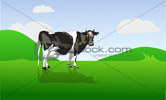 cow on a green field. vector illustration