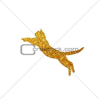 gold cat with glitter, silhouette, isolated, vector illustration
