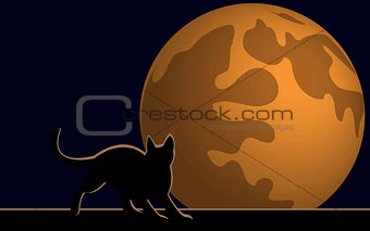 Wallpaper Halloween moon cat
