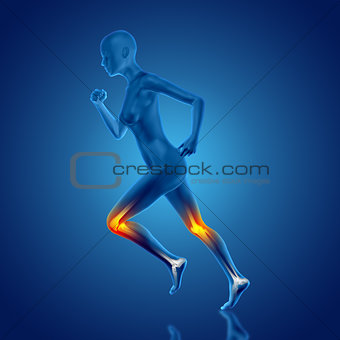 3D female medical figure running with knee bones highlighted