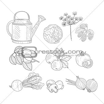 Farm Product Clipart Elements Hand Drawn Realistic Sketch