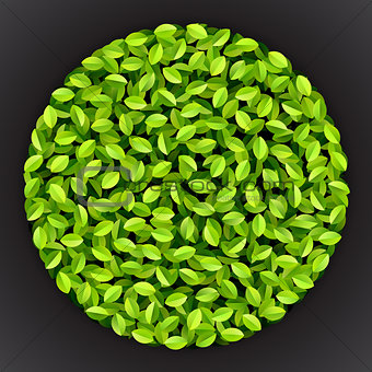 Vector Green Jumble Leaves Circle Shapes Background