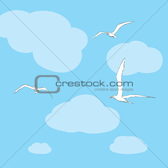 Sea gulls soar in the sky