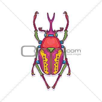 Colorful Scarab Beetle Bug Insect