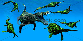 Nothosaurus Marine Reptile
