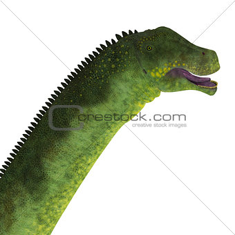 Puertasaurus Dinosaur Head