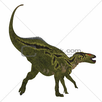 Shantungosaurus Dinosaur Tail