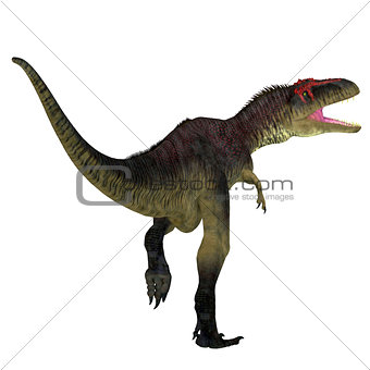 Tyrannotitan Dinosaur Tail