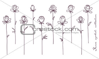 Roses. Collection of isolated rose flower sketch