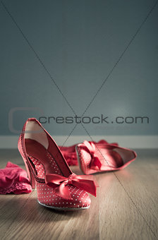 Sensual female shoes and lingerie