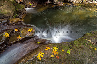 Fall Season at Rock Creek