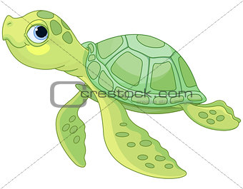 Sea Turtle 
