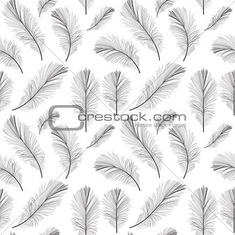 Bird Feather Hand Drawn Seamless Pattern Background Vector Illus