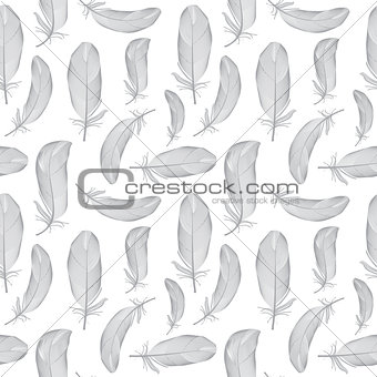 Bird Feather Hand Drawn Seamless Pattern Background Vector Illus