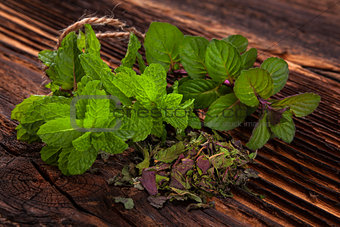 Aromatic culinary herbs, mint.