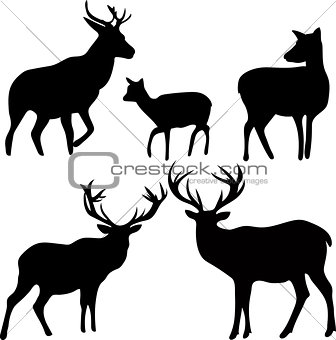 deer and roe silhouettes on the white background