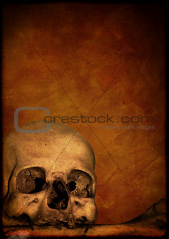 Grunge Halloween background with human skull