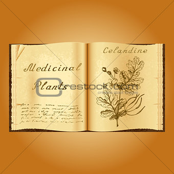 Greater celandine. Botanical illustration. Medical plants. Book herbalist. Old open book