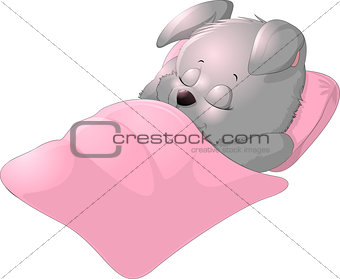 Sleep bunny on a white background