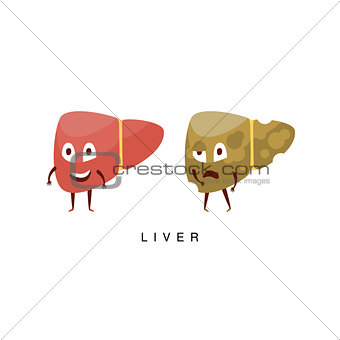 Healthy vs Unhealthy Liver Infographic Illustration