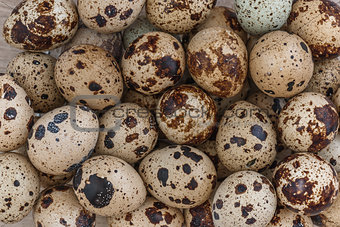 Quail eggs background
