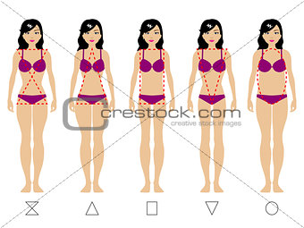 Five types of the female body