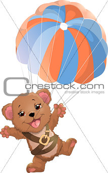 beautiful bear with parachute