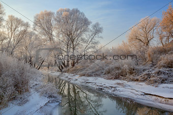 snow landscape with frosted trees and river