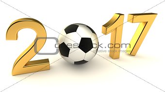 Year 2017 soccer ball