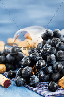 Branch of purple grape and wine corks on gray