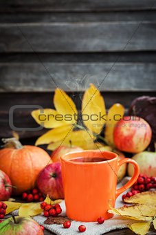 Orange mug on autumn background