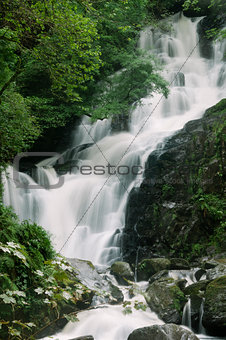 Torc Waterfall, Killarney National Park, Ireland, Europe