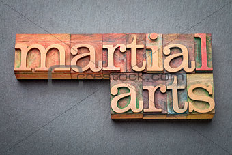 martial arts word abstract in wood type