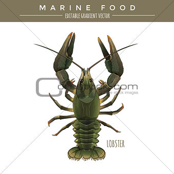Lobster. Marine Food